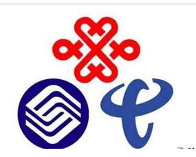 廣電網絡公司掛牌 邁向全業(yè)務運營的里程碑