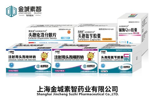 副省長王桂英赴金城醫藥調研 聚焦合成生物學與食品藥品安全，助力新興產業筑基